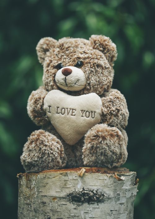 Free Adorable plush teddy bear holding an 'I Love You' heart on a wooden stump, outdoor setting. Stock Photo