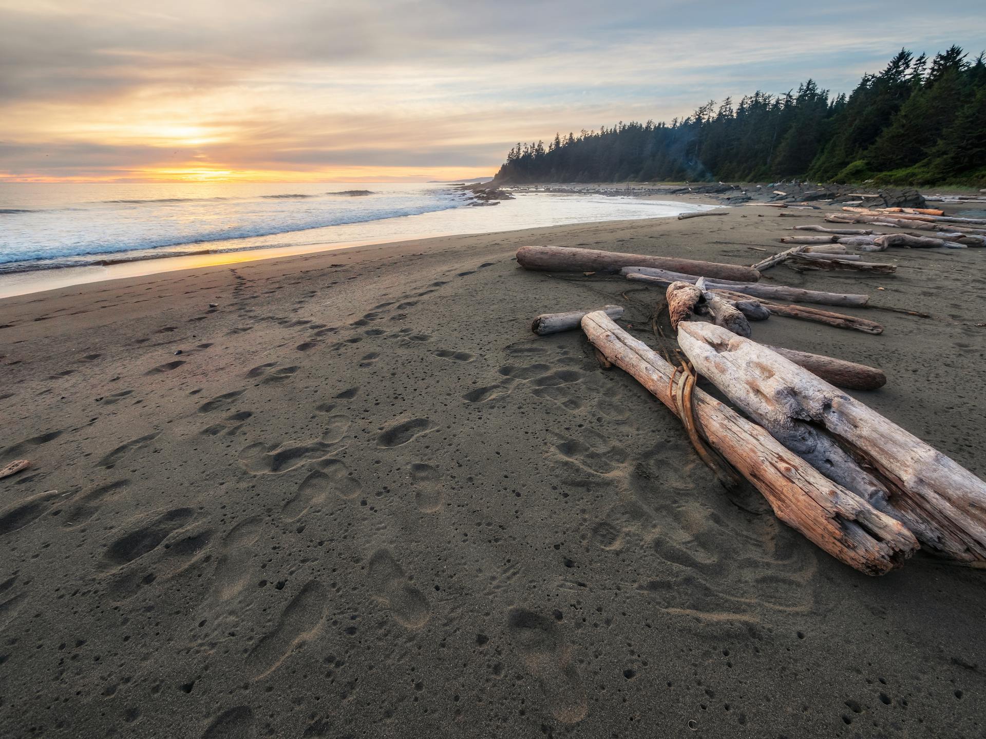Calm sunset at a driftwood-strewn beach on Vancouver Island showcasing the natural beauty of the Pacific coast.