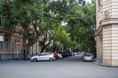 Free A serene view of a tree-lined street in Batumi, Georgia, featuring parked cars and classic architecture. Stock Photo