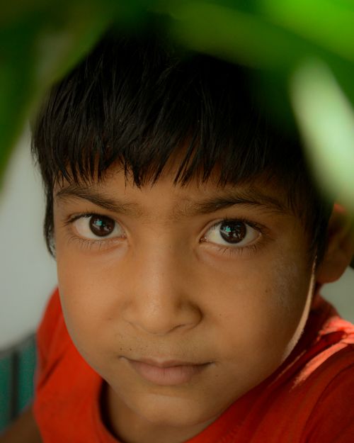 Free A close-up of a child with expressive eyes and lush greenery, captured in Dehradun, India. Stock Photo