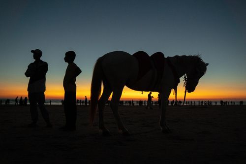 Free Silhouetted figures with a horse at a colorful sunset beach, creating a serene and dramatic scene. Stock Photo