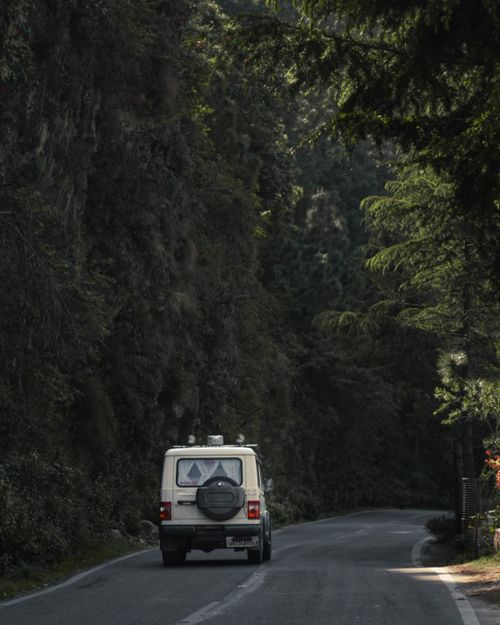 Free A vehicle travels along a picturesque forest road, capturing the essence of adventure and nature. Stock Photo