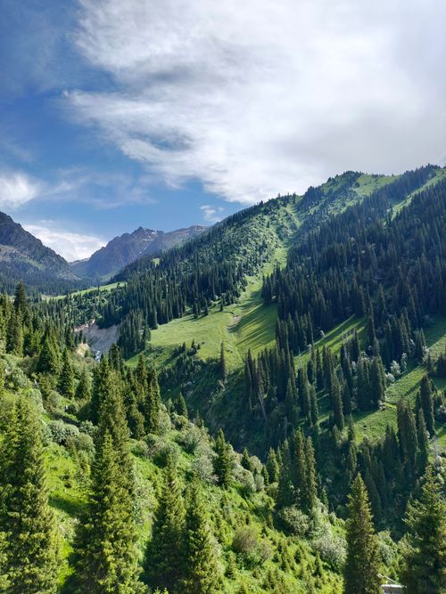 Free Scenic view of vibrant green mountains and forest under a bright blue sky, perfect for travel and nature themes. Stock Photo