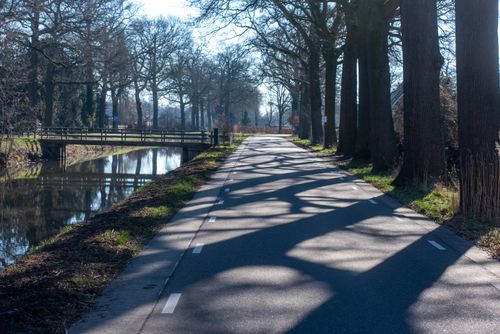 Free A serene view of a road and canal in Helenaveen, framed by trees and playful shadows. Stock Photo
