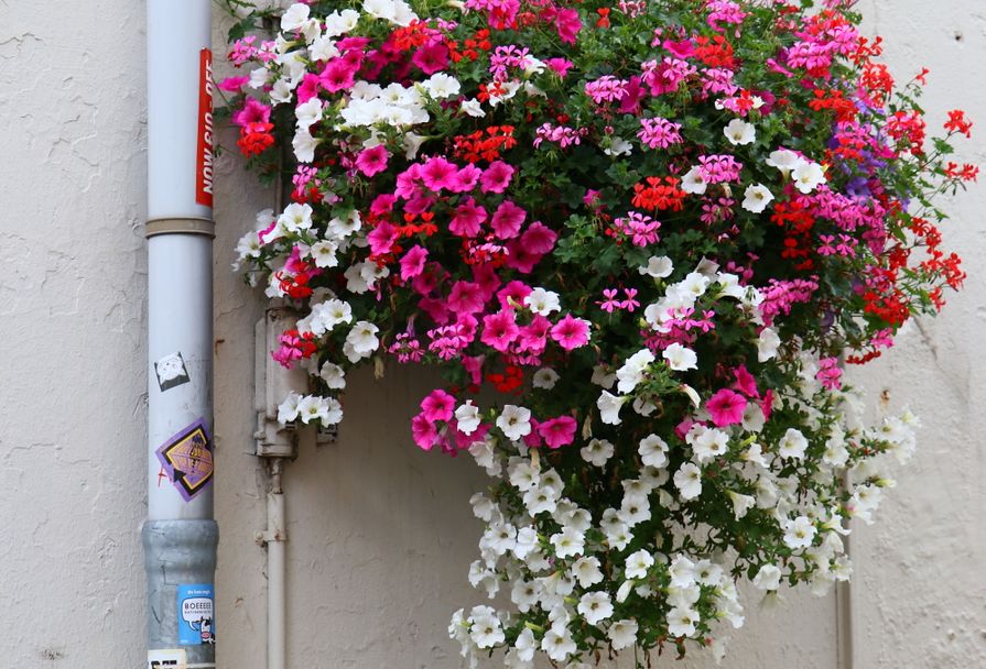 Online dating: starting a conversation on a niche platform