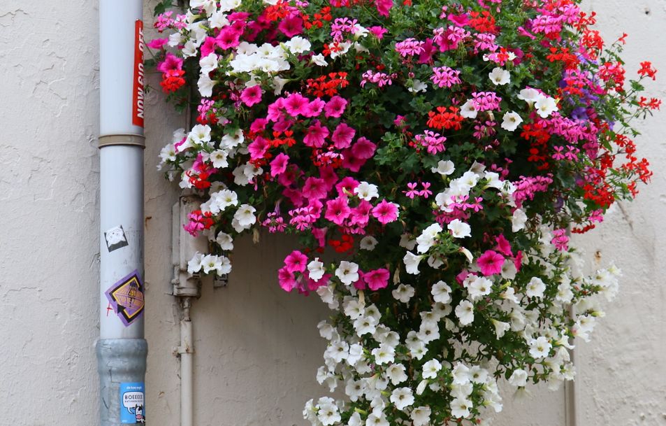 Online dating: starting a conversation on a niche platform