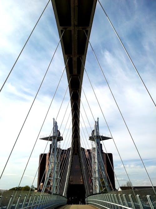 Brown and Gray Bridge