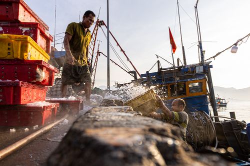 Free Fishermen unloading fresh catch at sunrise with fishing boat and crates in the harbor. Stock Photo