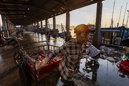 Free Sunrise scene of bustling seafood market with fisherman unloading fresh catch at the harbor. Stock Photo