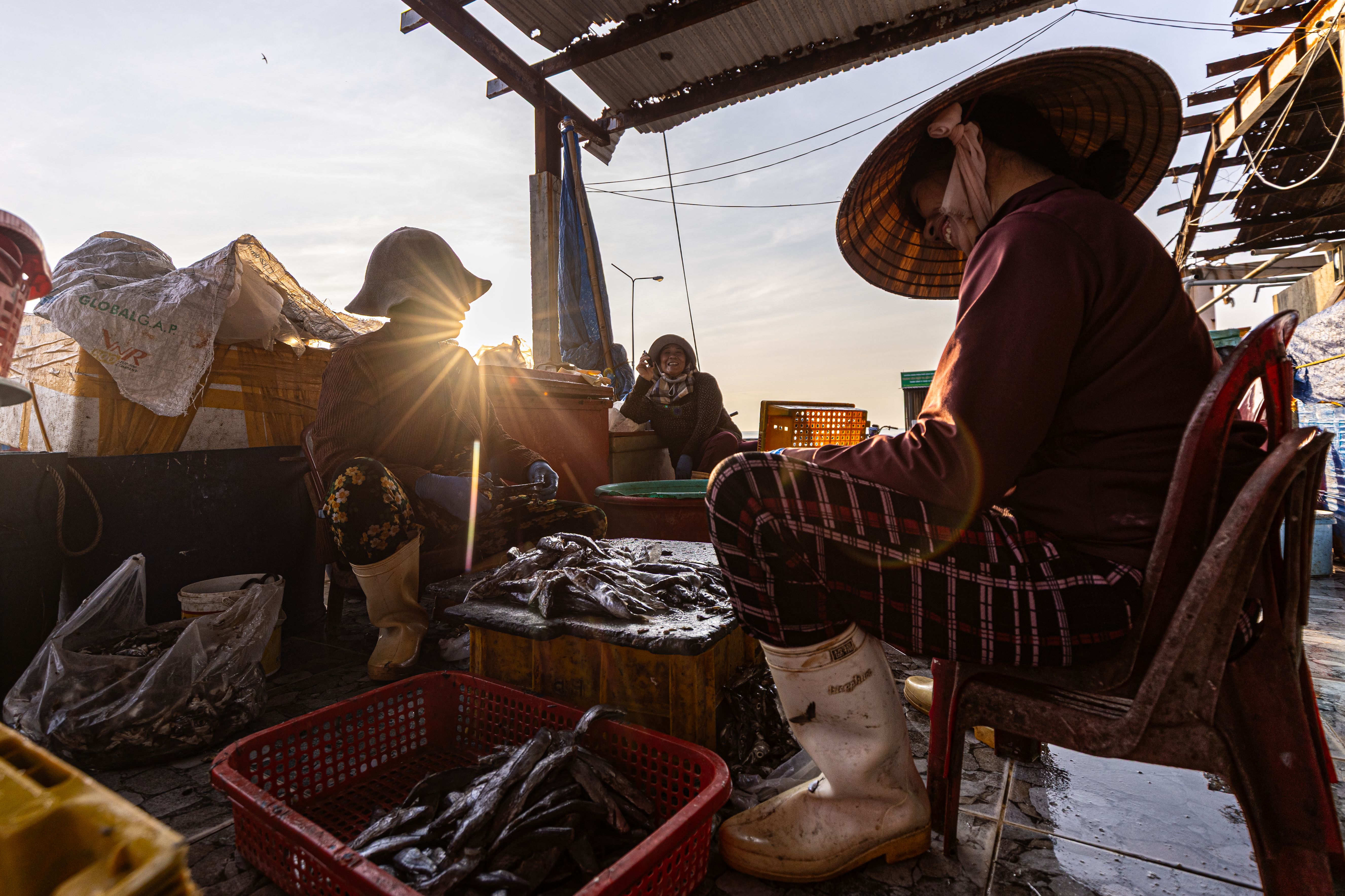 An Thoi Market (Chợ An Thới)