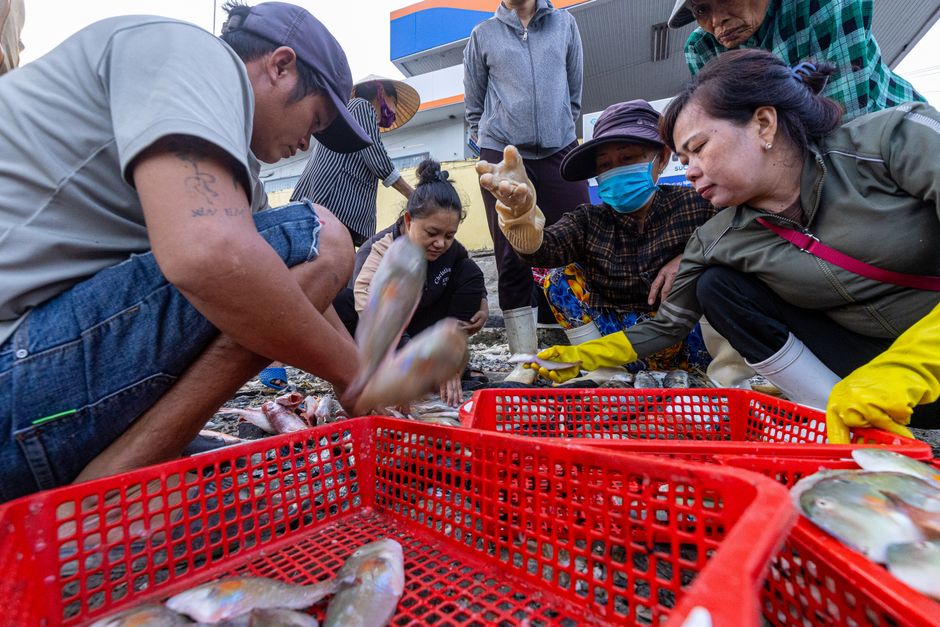 Vibrant early morning scene at the local fish market in Malé, Maldives, with fresh catch