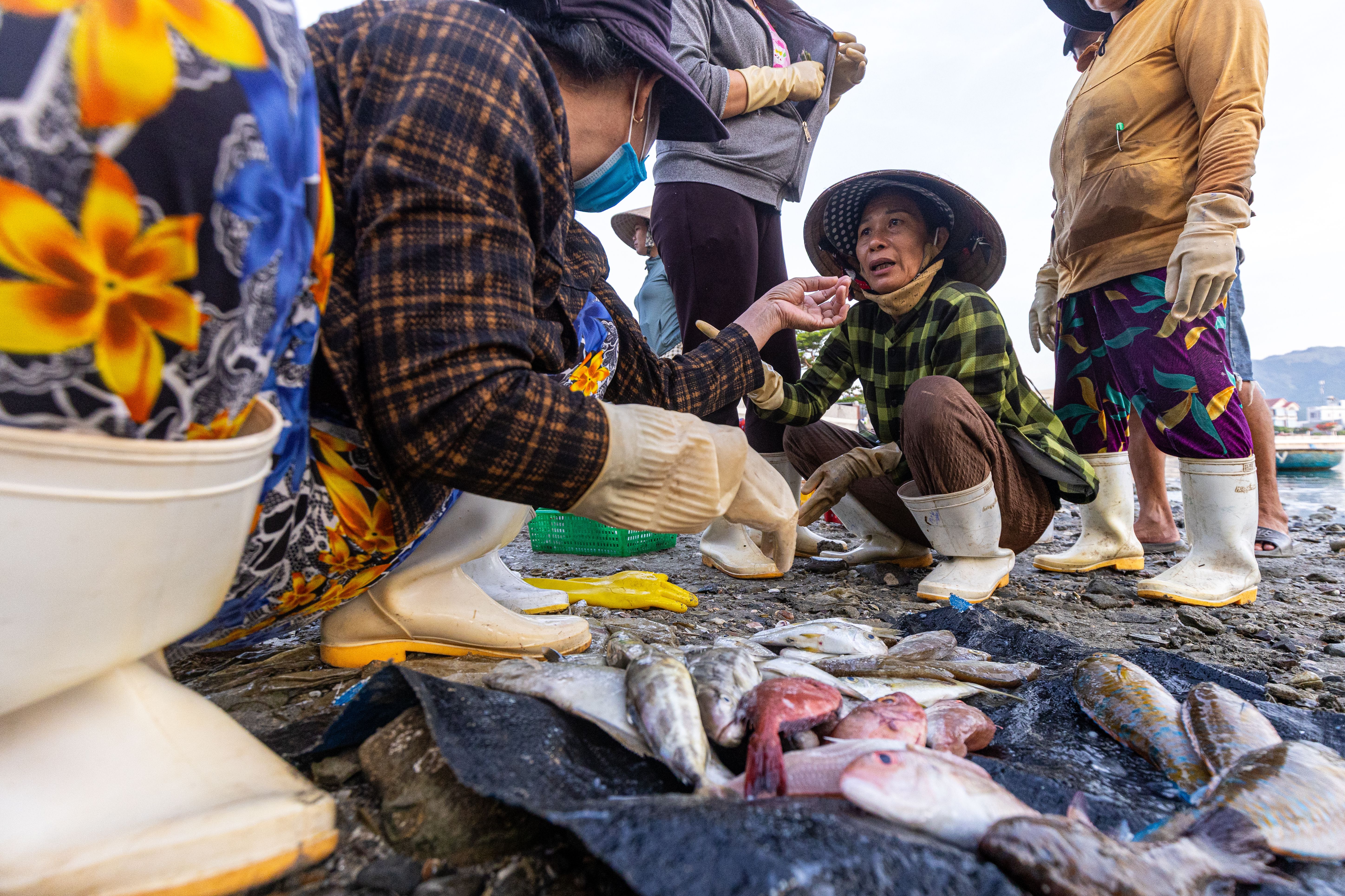 An Thoi Market (Chợ An Thới)