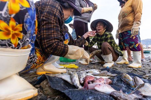 Free Vendors in traditional attire selling fresh fish at an outdoor market. Stock Photo