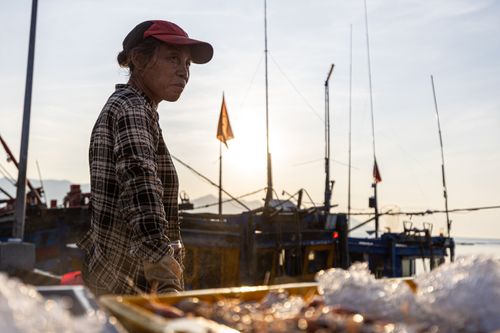 Free A fisherwoman standing by the boat at sunrise, ready for a day at sea. Stock Photo