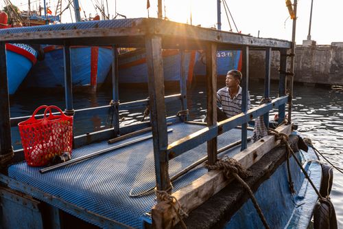 Free A fisherman on a blue docked boat as the sun sets over a harbor filled with fishing vessels. Stock Photo