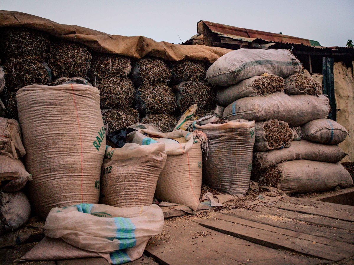 Image depicting sacks of seeds and crops in a market setting, showcasing agricultural abundance.
