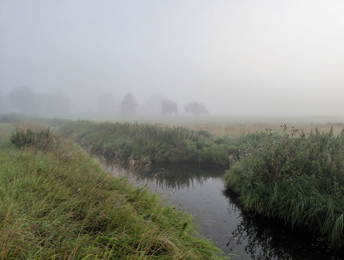 Free Foggy rural landscape with lush grass and a winding stream. Stock Photo