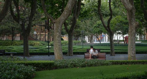 Free A tranquil urban park scene with lush greenery and two people reading on benches. Stock Photo
