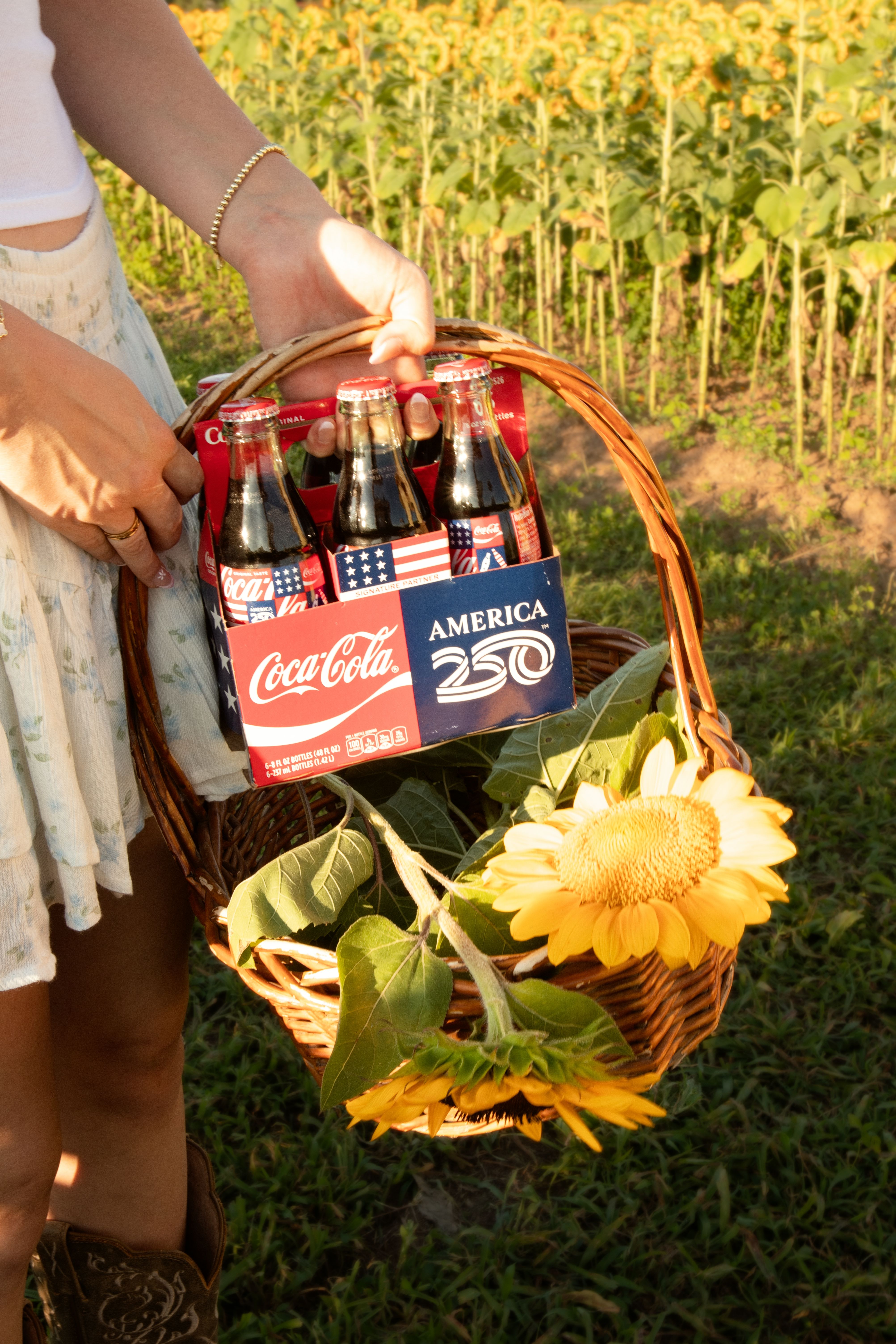 A sunny picnic scene with Coca-Cola bottles and sunflowers in a basket.
