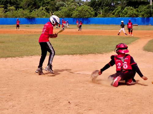 Free A vibrant scene of children playing baseball on a sunny day, capturing the excitement of youth sports. Stock Photo