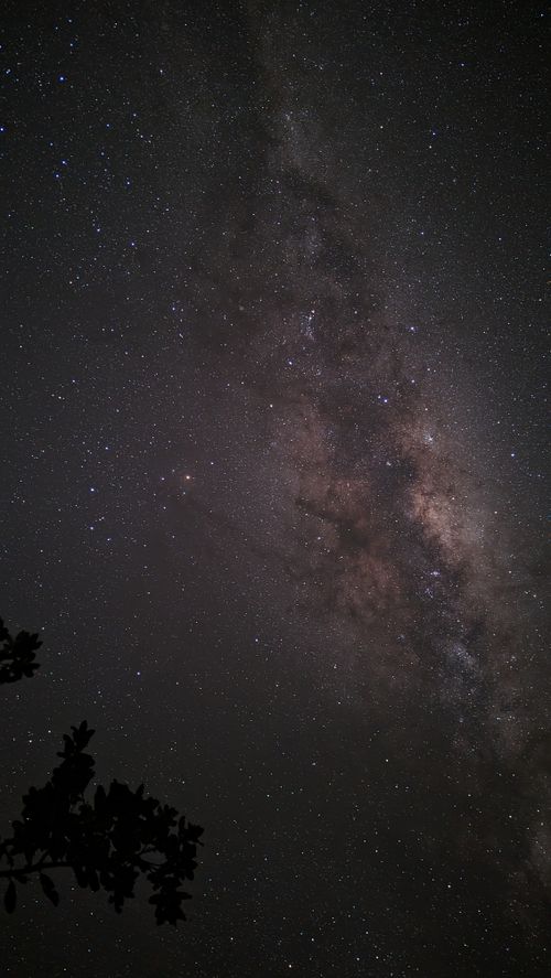 Free Beautiful night sky view of the Milky Way galaxy above Uki, Australia. Stock Photo