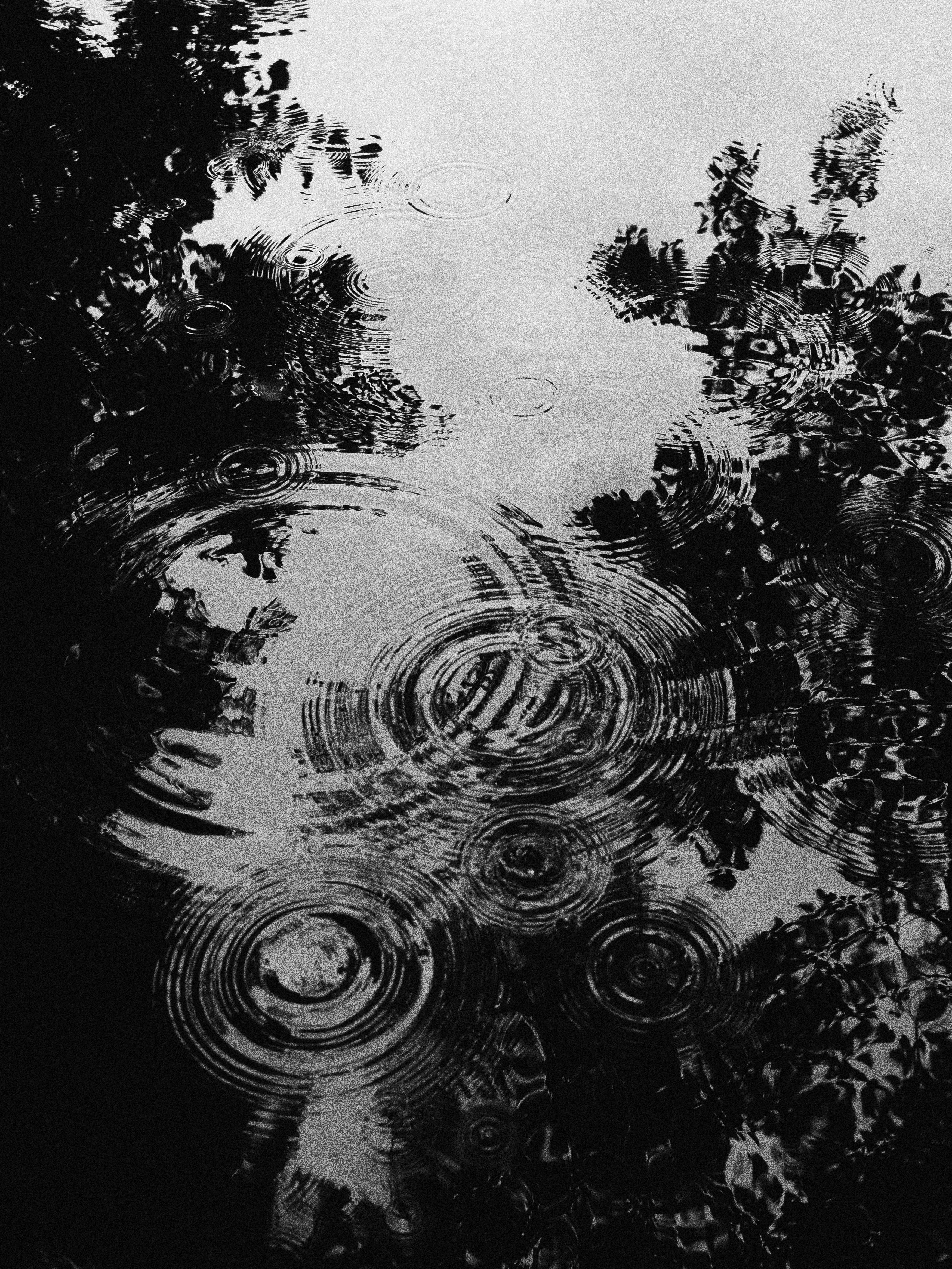 Captivating black and white image of raindrop ripples on a calm water surface with ambient reflections.