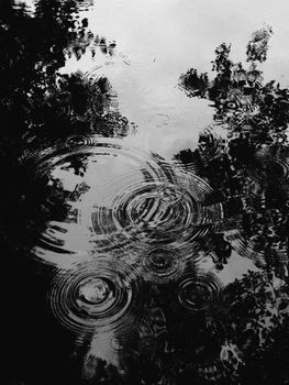 Captivating black and white image of raindrop ripples on a calm water surface with ambient reflections.