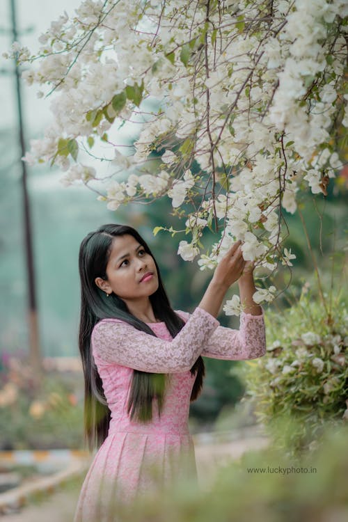 Foto stok gratis berwarna merah muda, bunga putih, cahaya alami