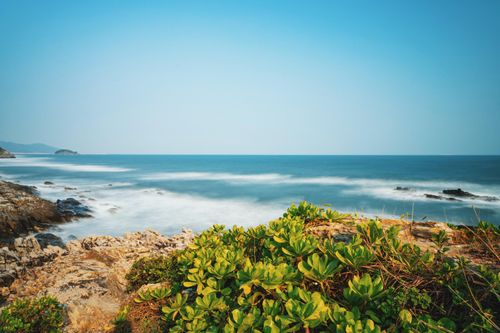 Free Beautiful view of rocky coastline and ocean with green plants in sunlight. Stock Photo