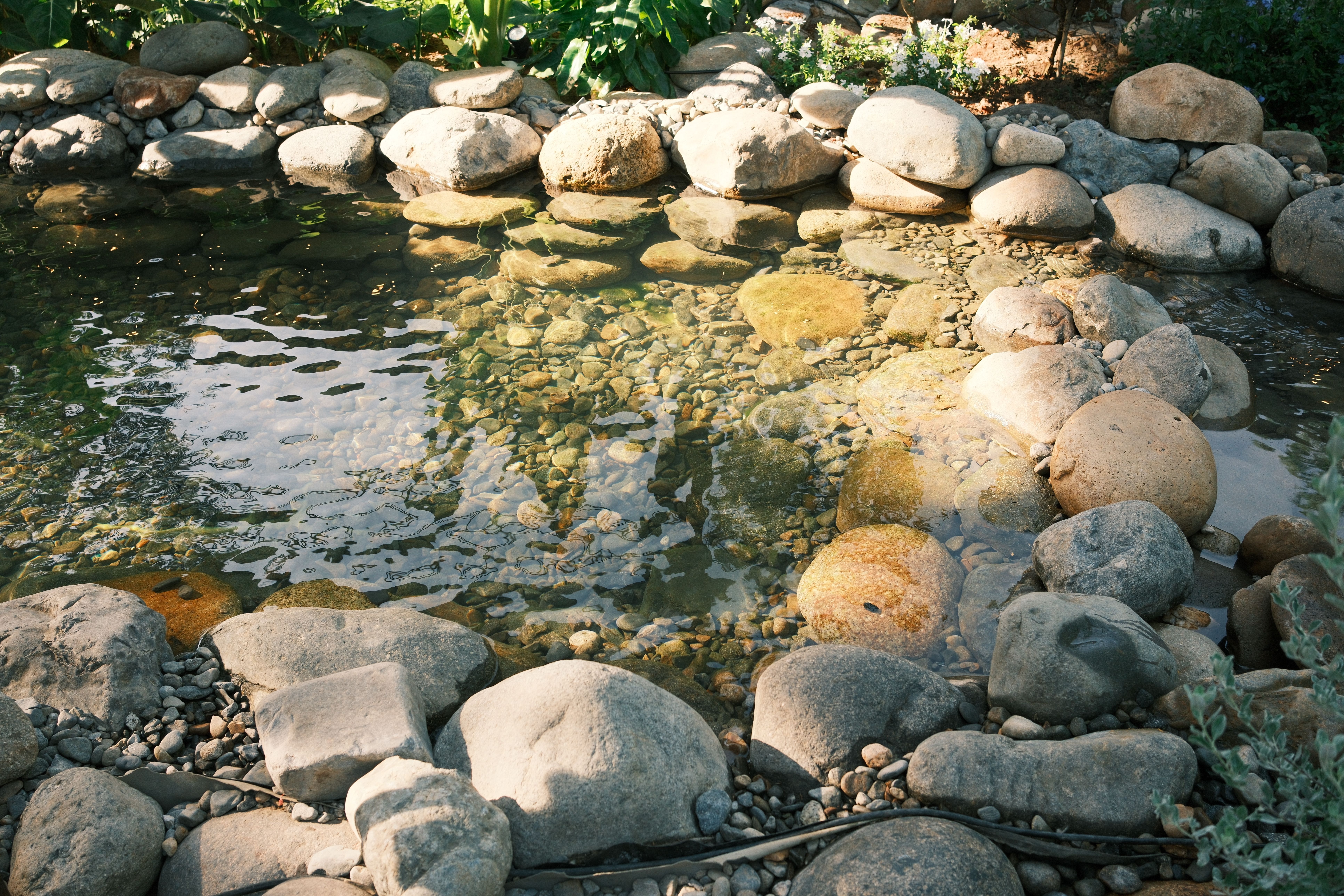 Serene rock pond with clear water reflecting sunlight in a peaceful garden setting.