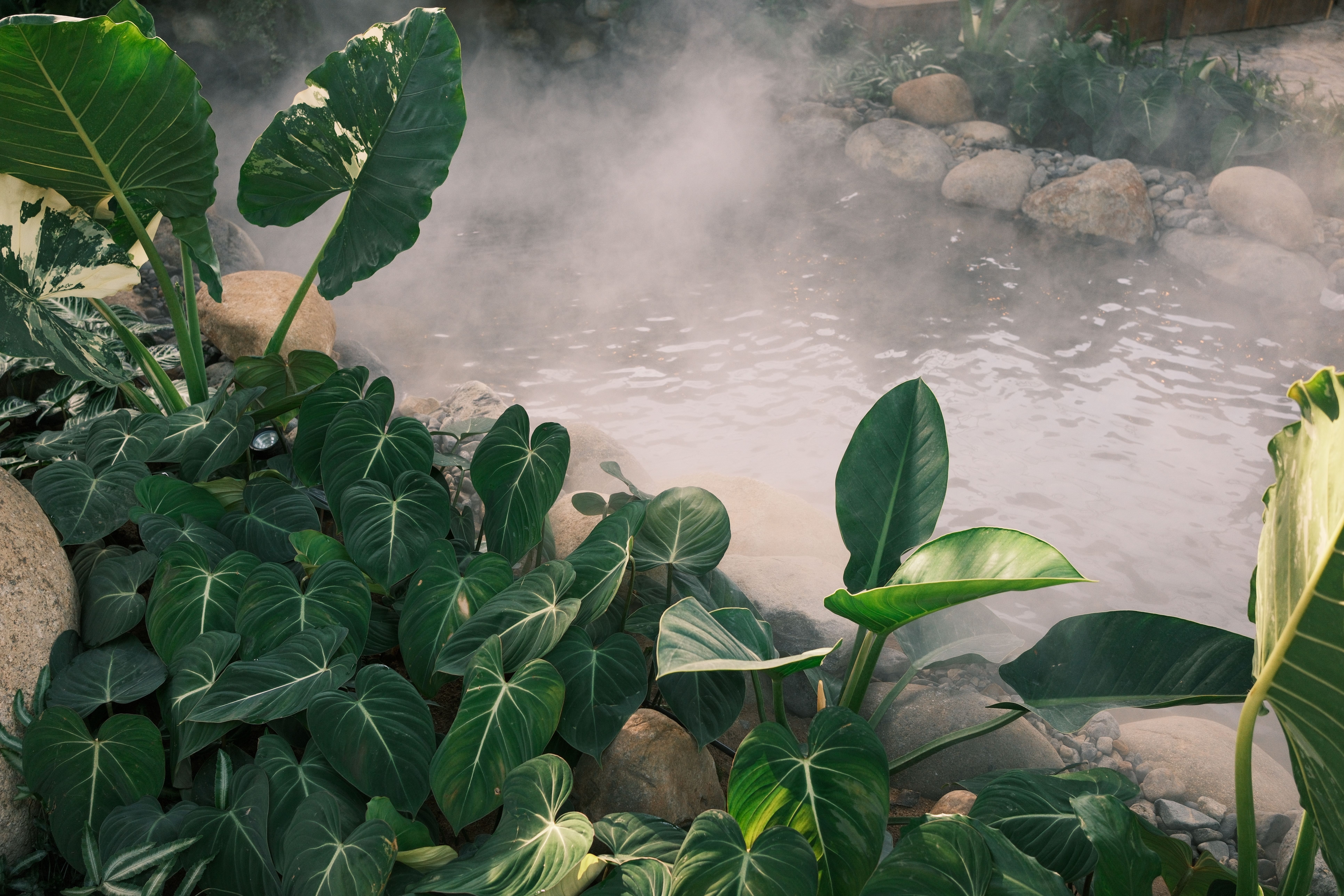 How Much Does Outdoor Misting Cost? 2026 Pricing Guide