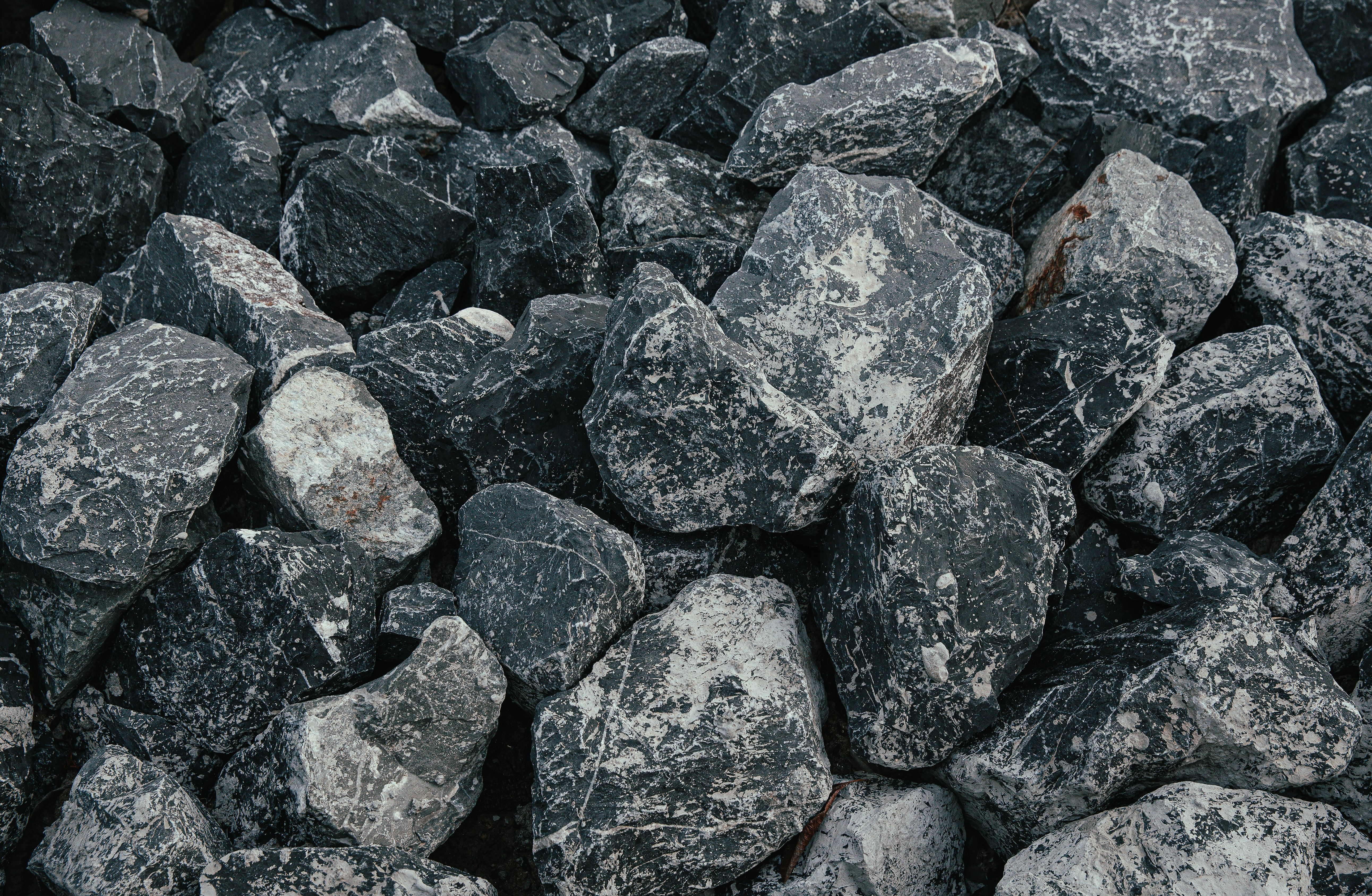 Foto: NEOSiAM 18+ / Pexels