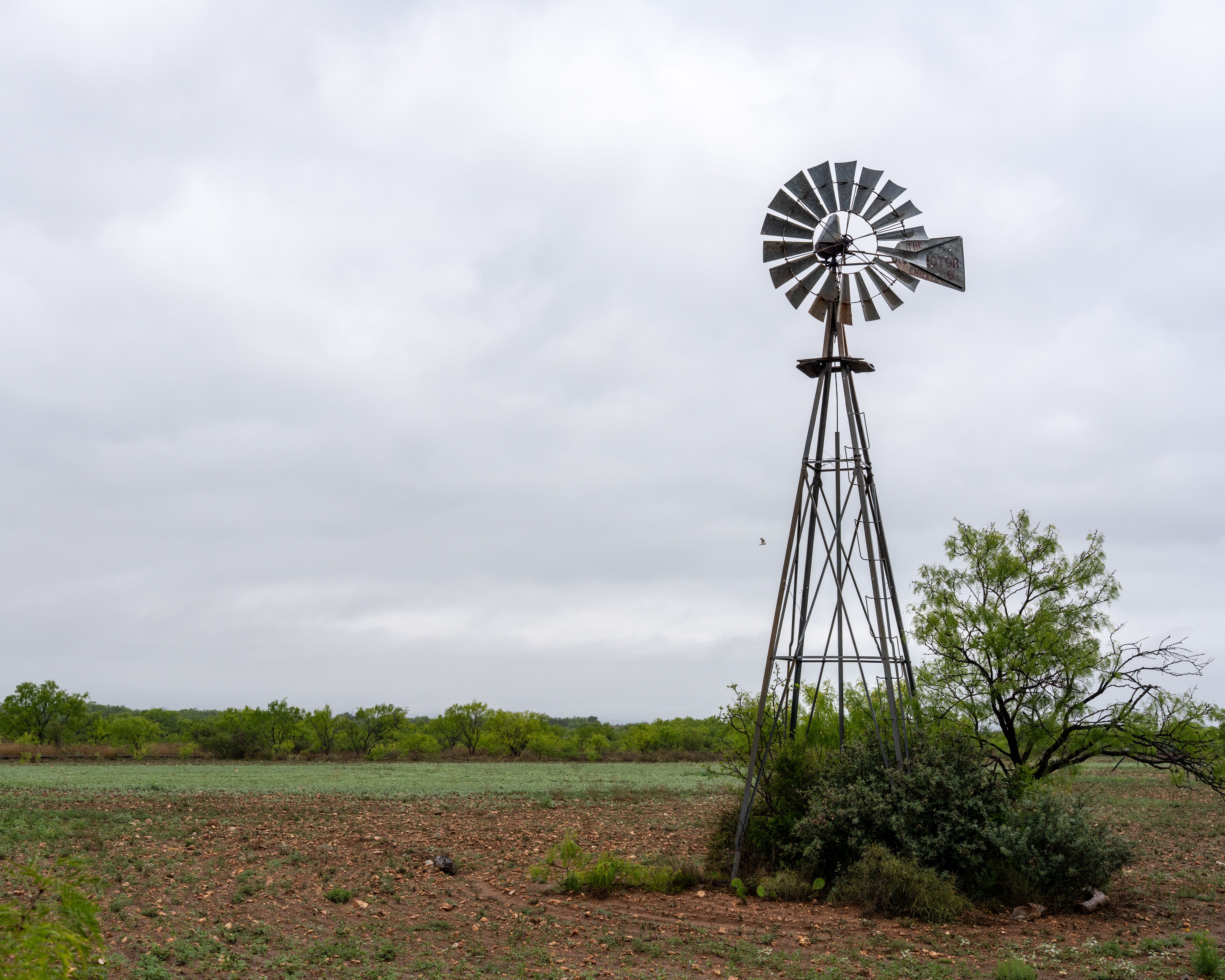 Find Your Dream Land for Sale in Texas Under $100k