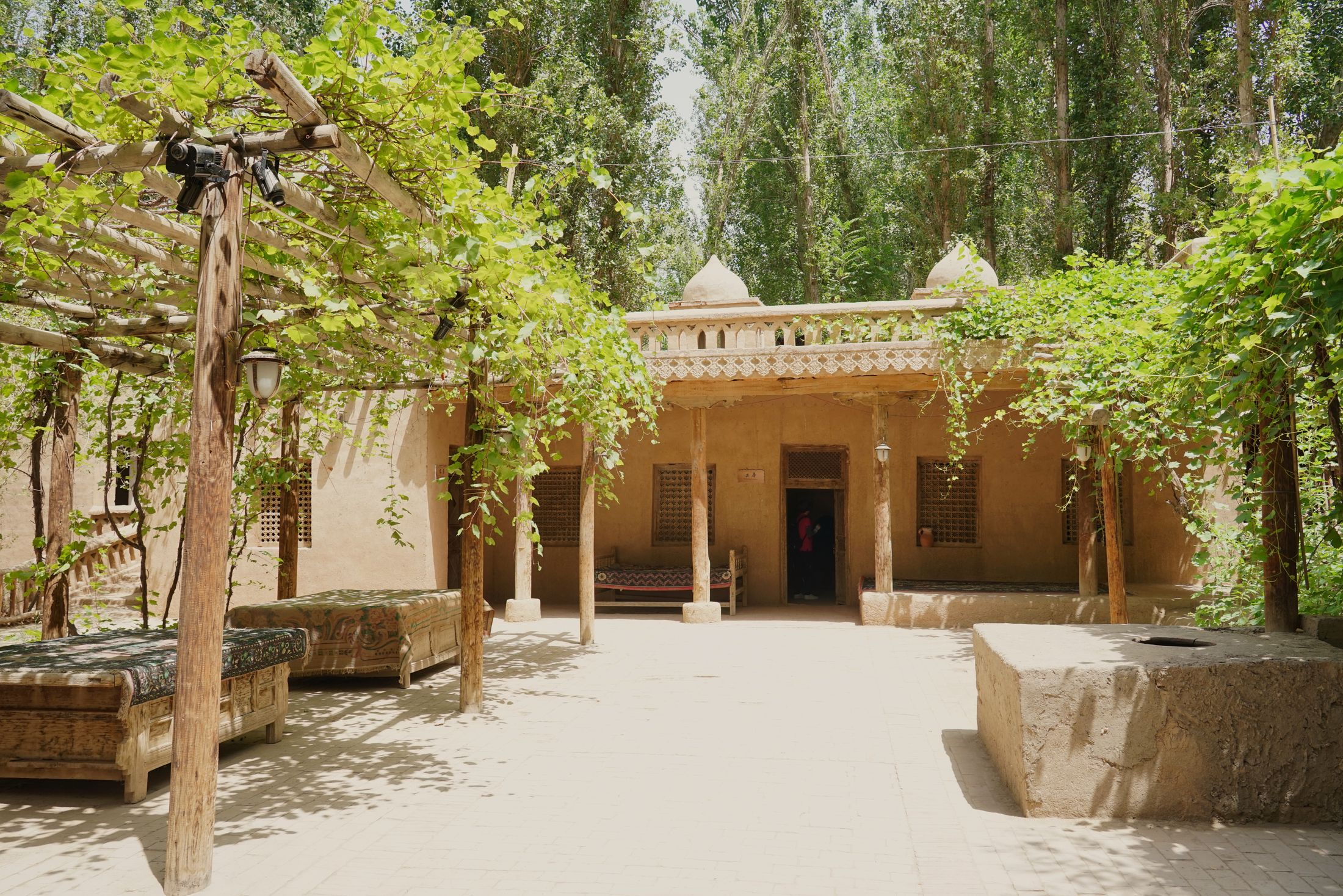 Mud-brick house with a shaded forecourt among trees