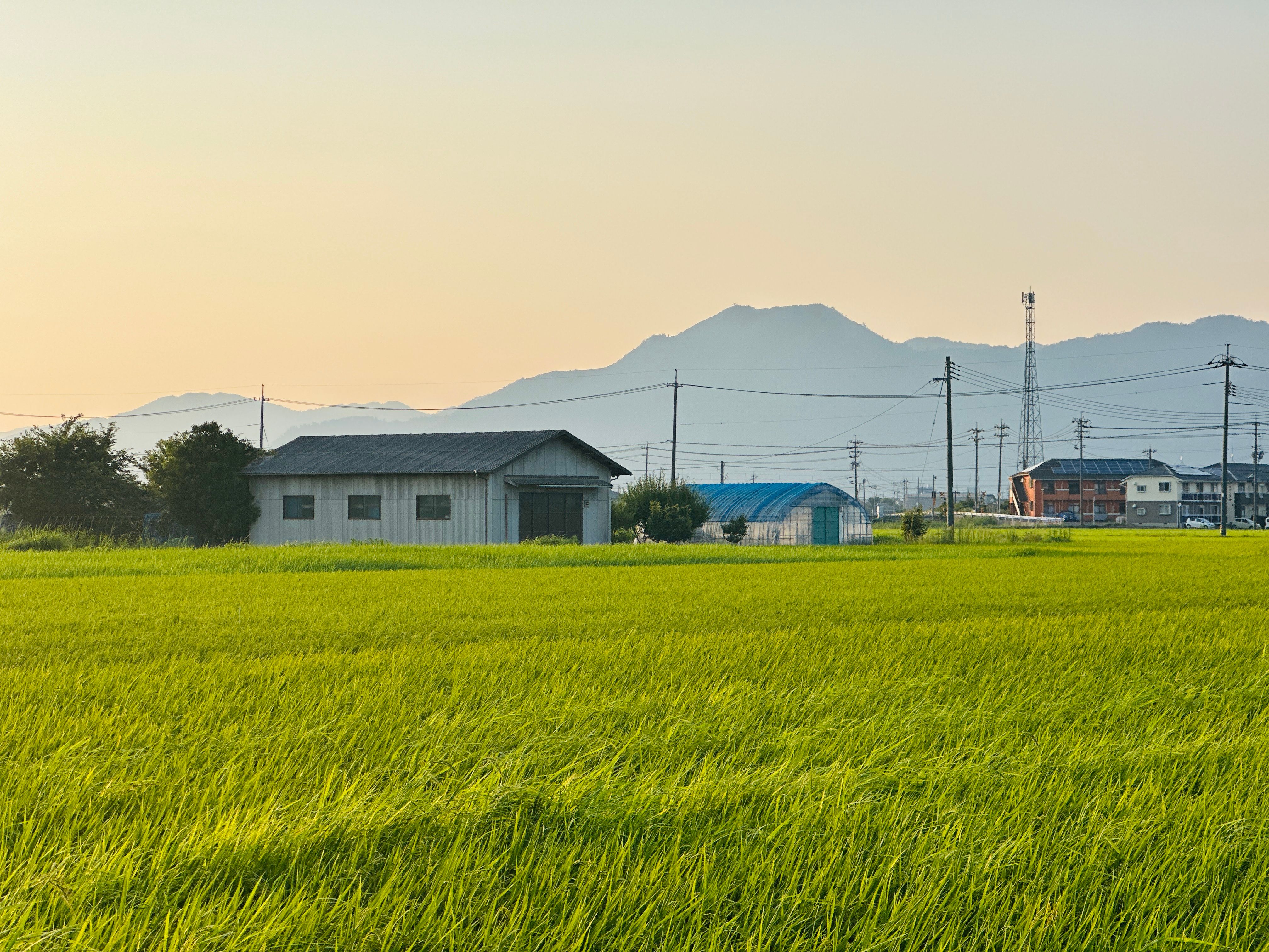 東北の山々と緑の農地