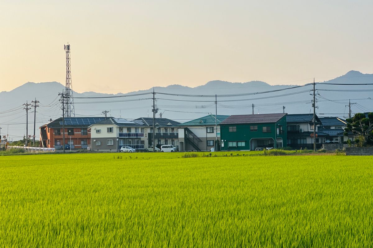 山を背にした田んぼと住宅