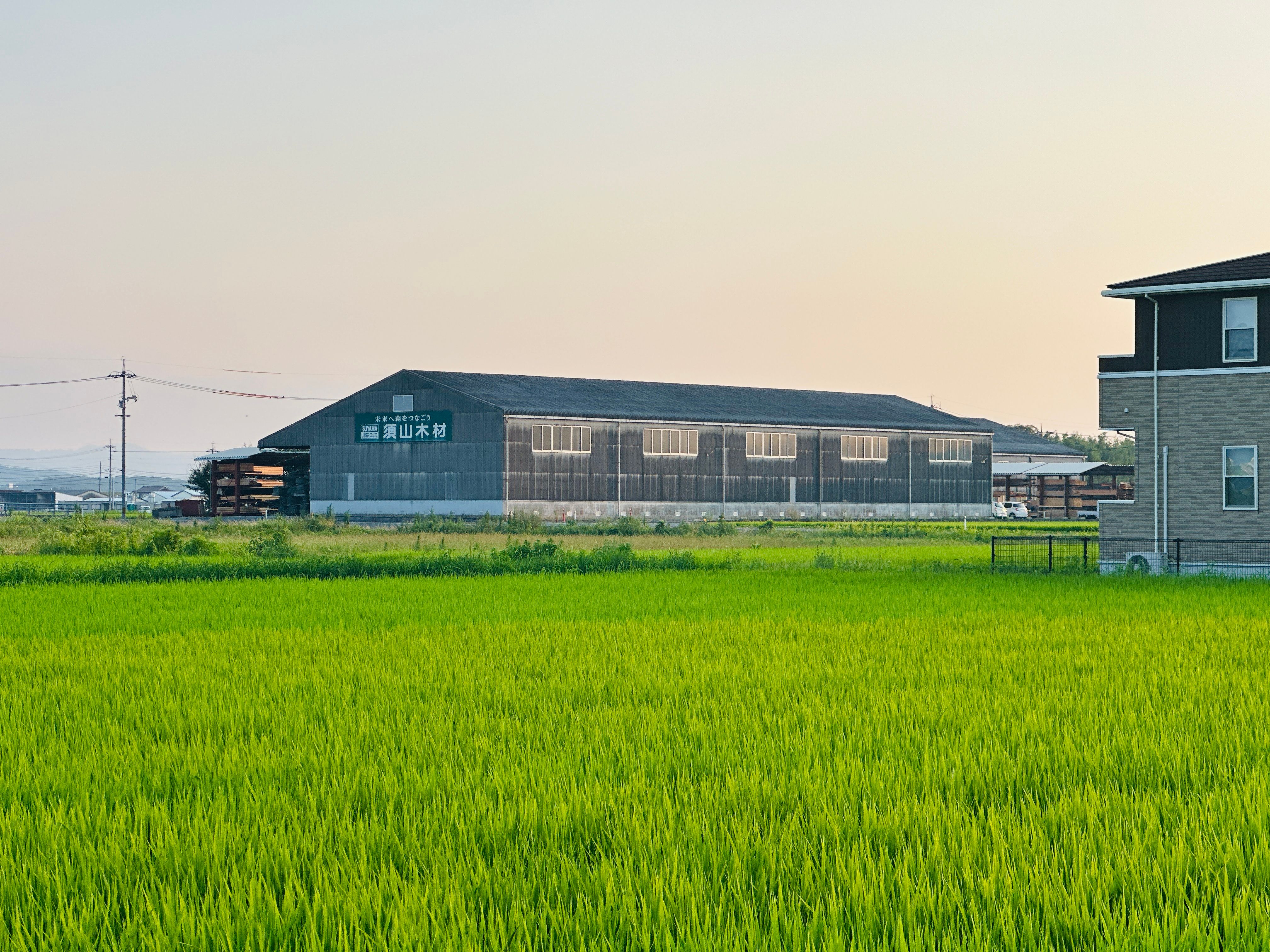 Scenic view of a lush green field and warehouse at sunset.
