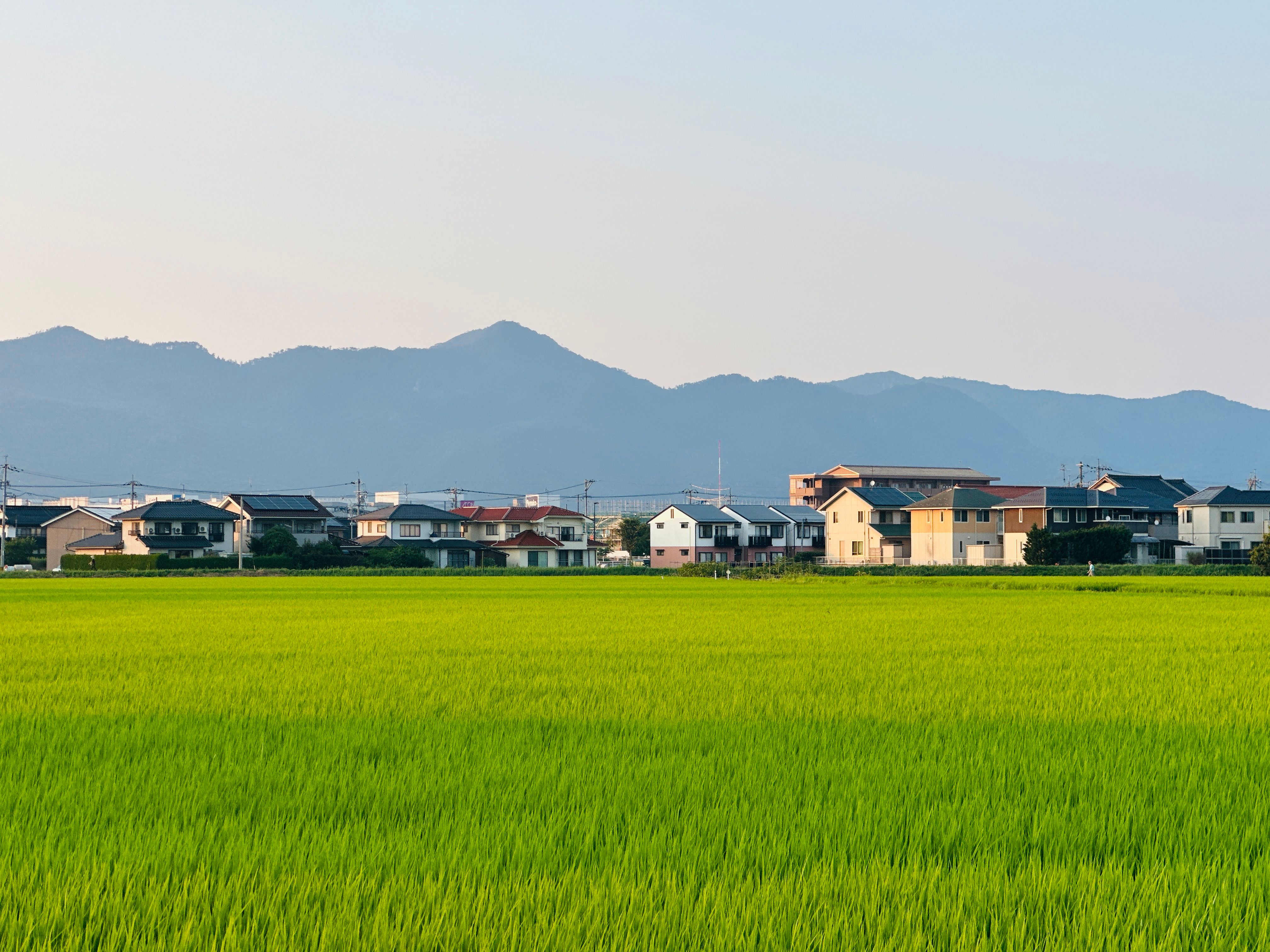 開墾中の農地