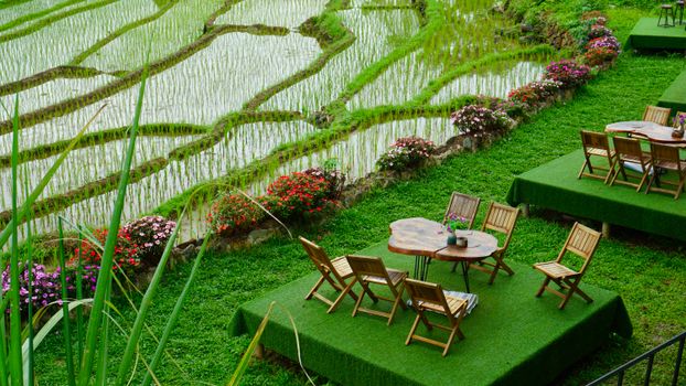 cafe terrace