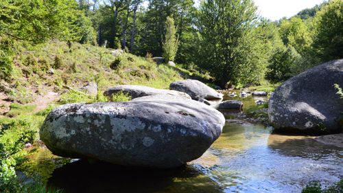 Free Beautiful natural rock formations by a tranquil river in Aullène, Corse, France, amidst lush greenery. Stock Photo