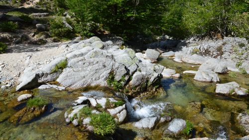 Free Beautiful rocky stream located in Aullène, Corse, surrounded by lush greenery. Stock Photo