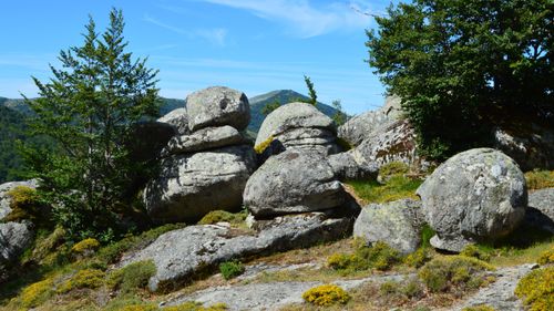 Free Beautiful rock formations surrounded by greenery in Aullène, Corsica, France. Stock Photo