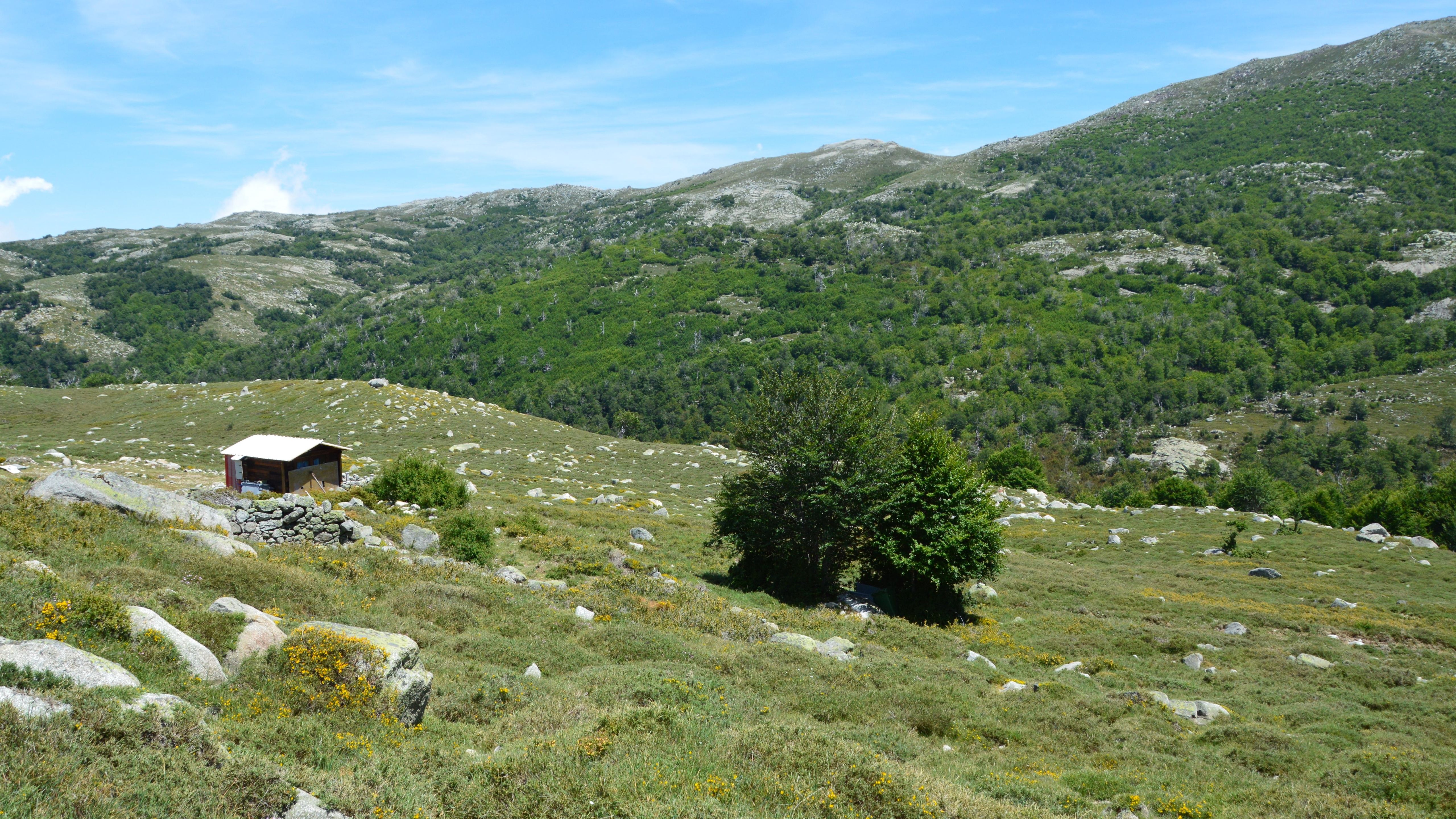 Serene mountain landscape with a hut in Aullène, Corsica, France.