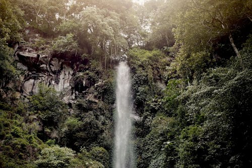 Kostnadsfri bild av berg, flod, rais vattenfall