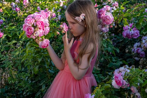Free A young girl enjoys the fragrance of pink roses in a lush garden setting. Stock Photo