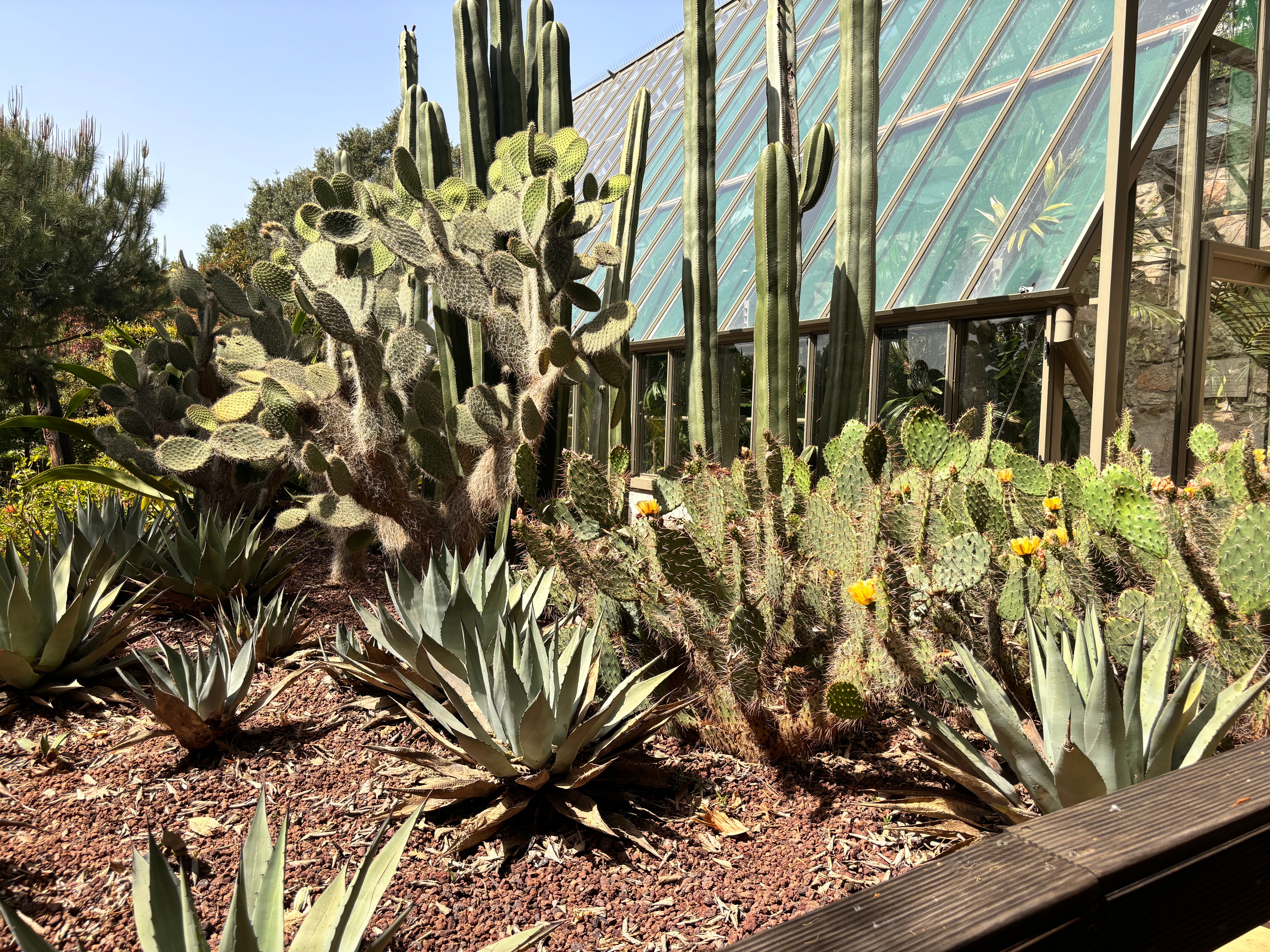 Mediterranean Biome