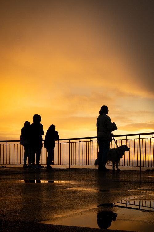 Free Captivating sunrise with silhouettes and reflections at Mount Coot-tha lookout, Queensland. Stock Photo