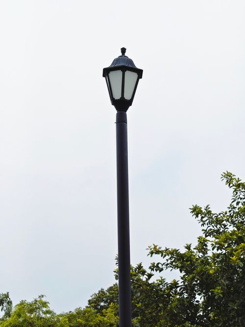 Free A solitary vintage street lamp rises against a clear sky with leafy trees below. Stock Photo
