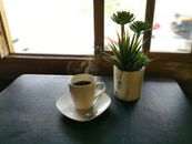 阳光明媚的日子里，一杯新鲜冲泡的热咖啡放在窗户附近的桌子上，旁边还摆着一盆多肉植物