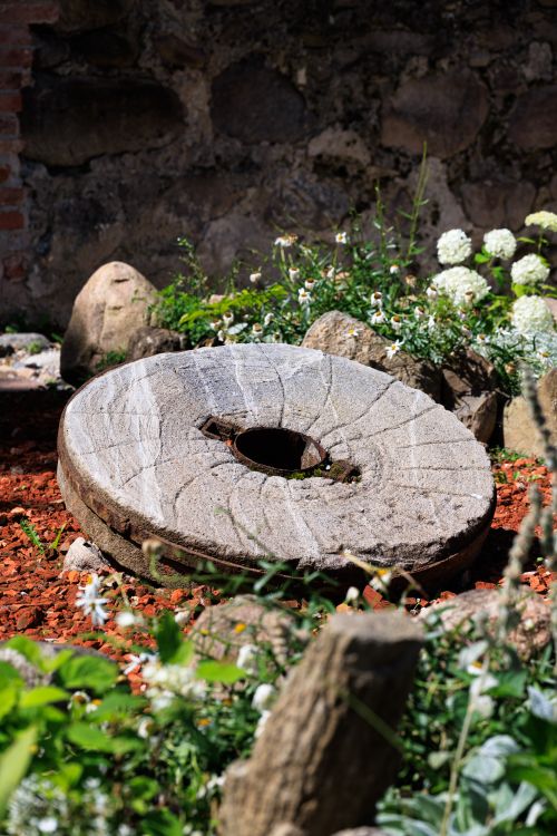 Free Historic millstone in a vibrant outdoor garden setting, Kaliningrad. Stock Photo